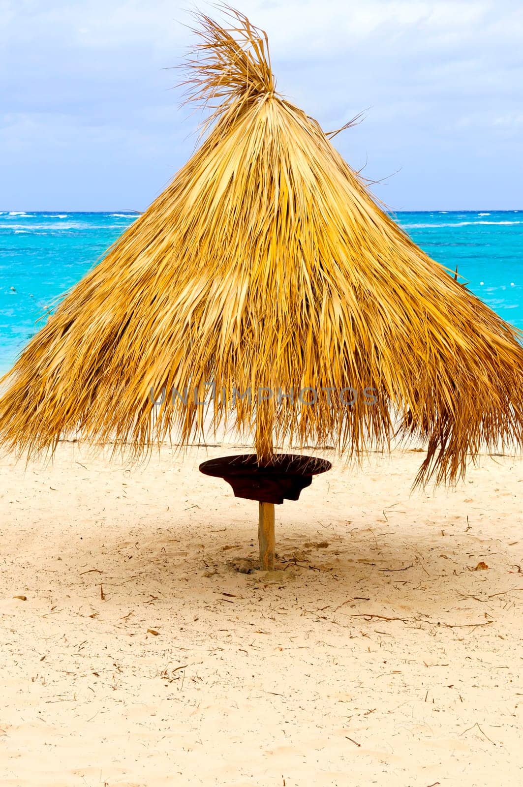 Tropical beach umbrella
