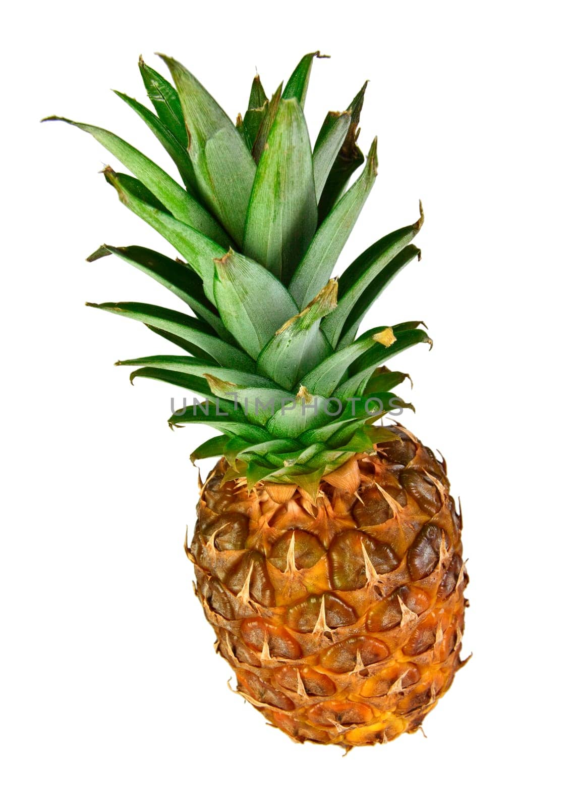 pineapple fruit isolated on white