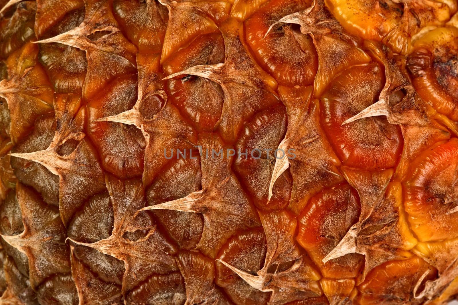 pineapple skin texture