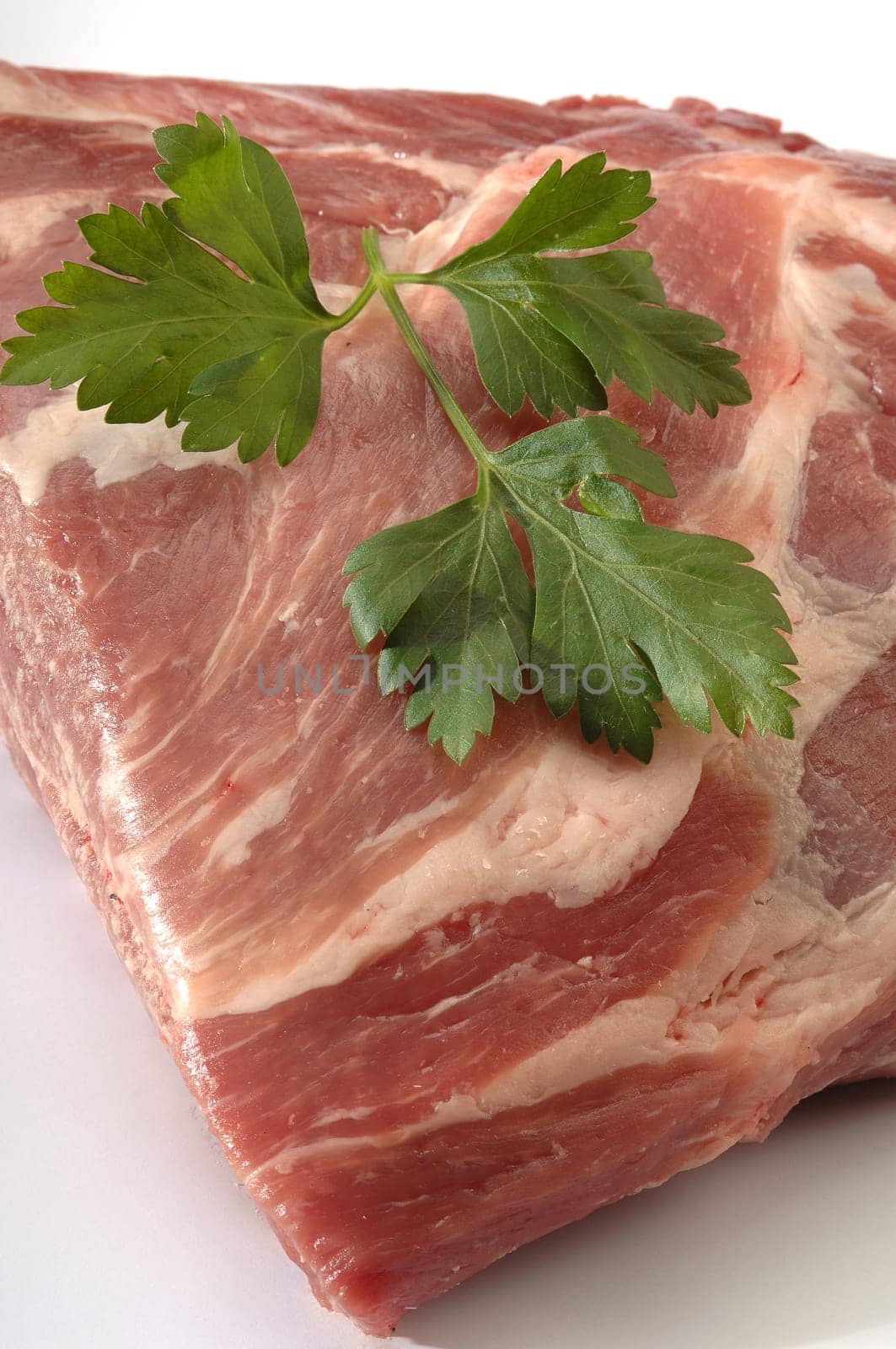 meat