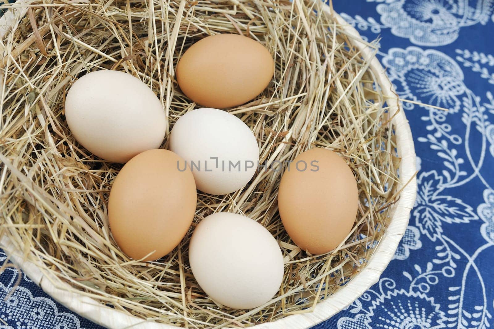Fresh farm eggs