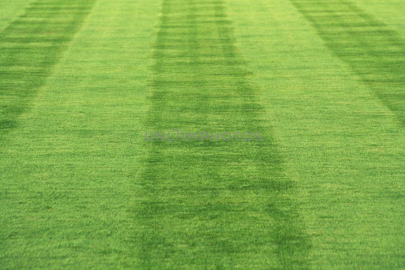 Striped grass