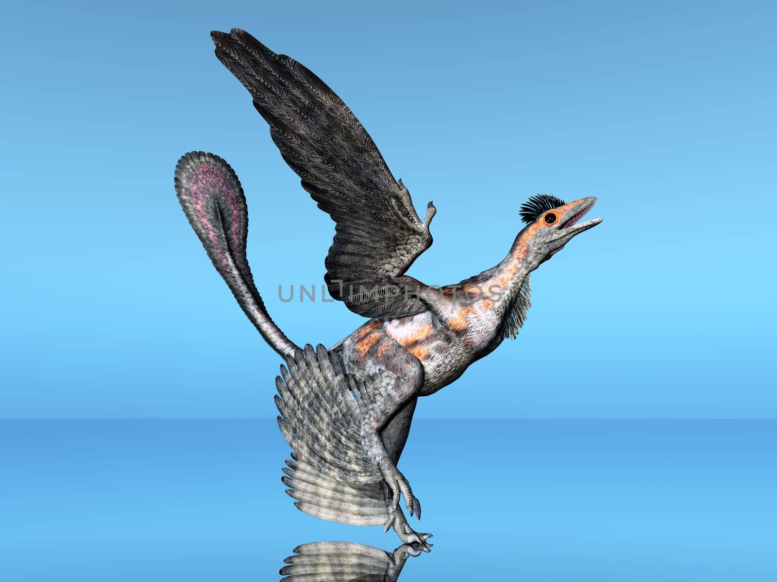 Microraptor