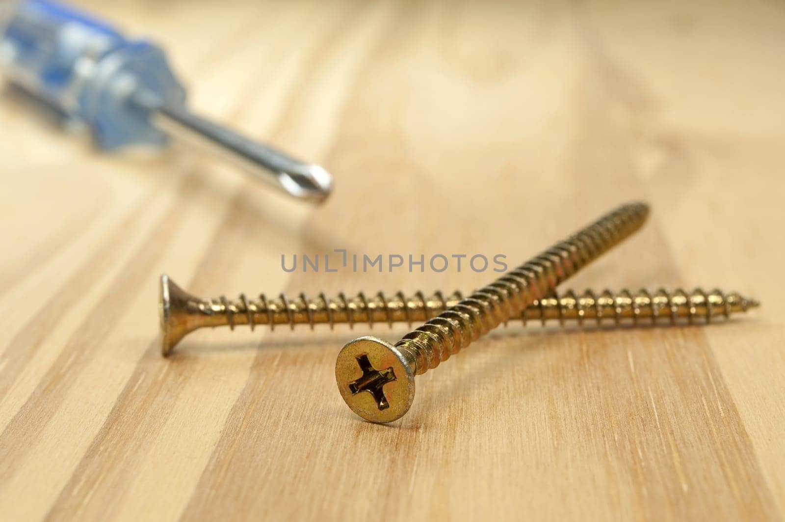 Screws and screwdriver on piece of wood.