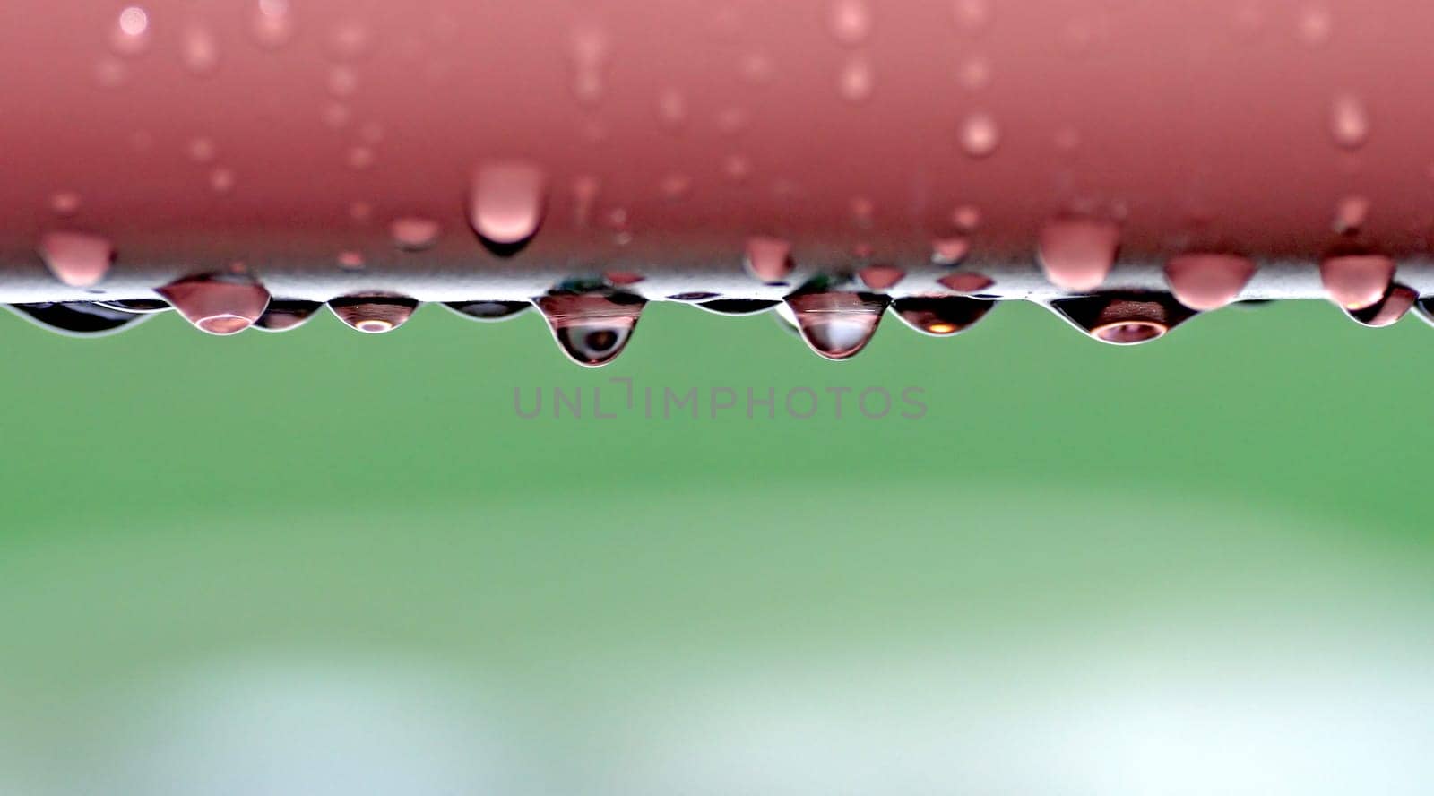 Water Drops