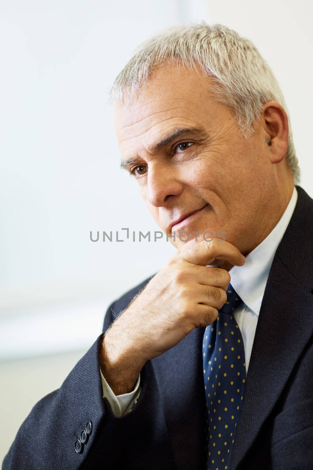 mature businessman in office