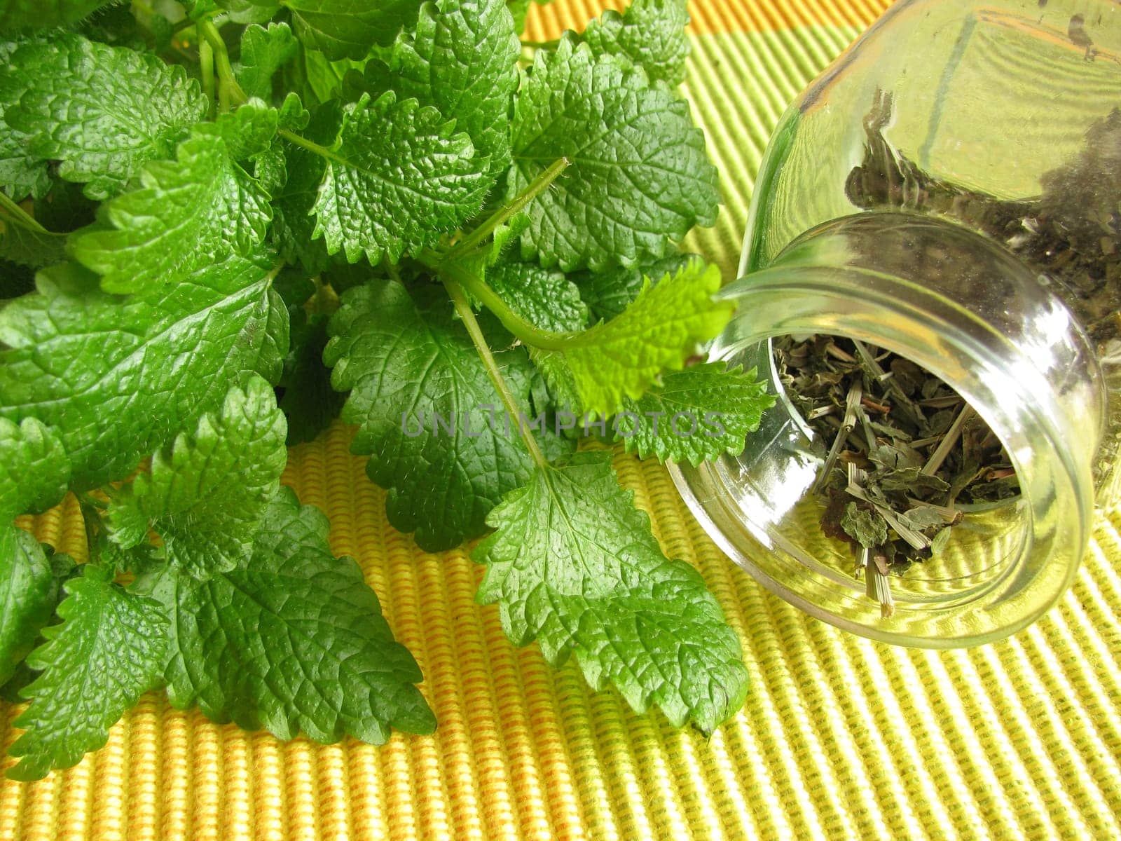 Tea herbs with lemon balm
