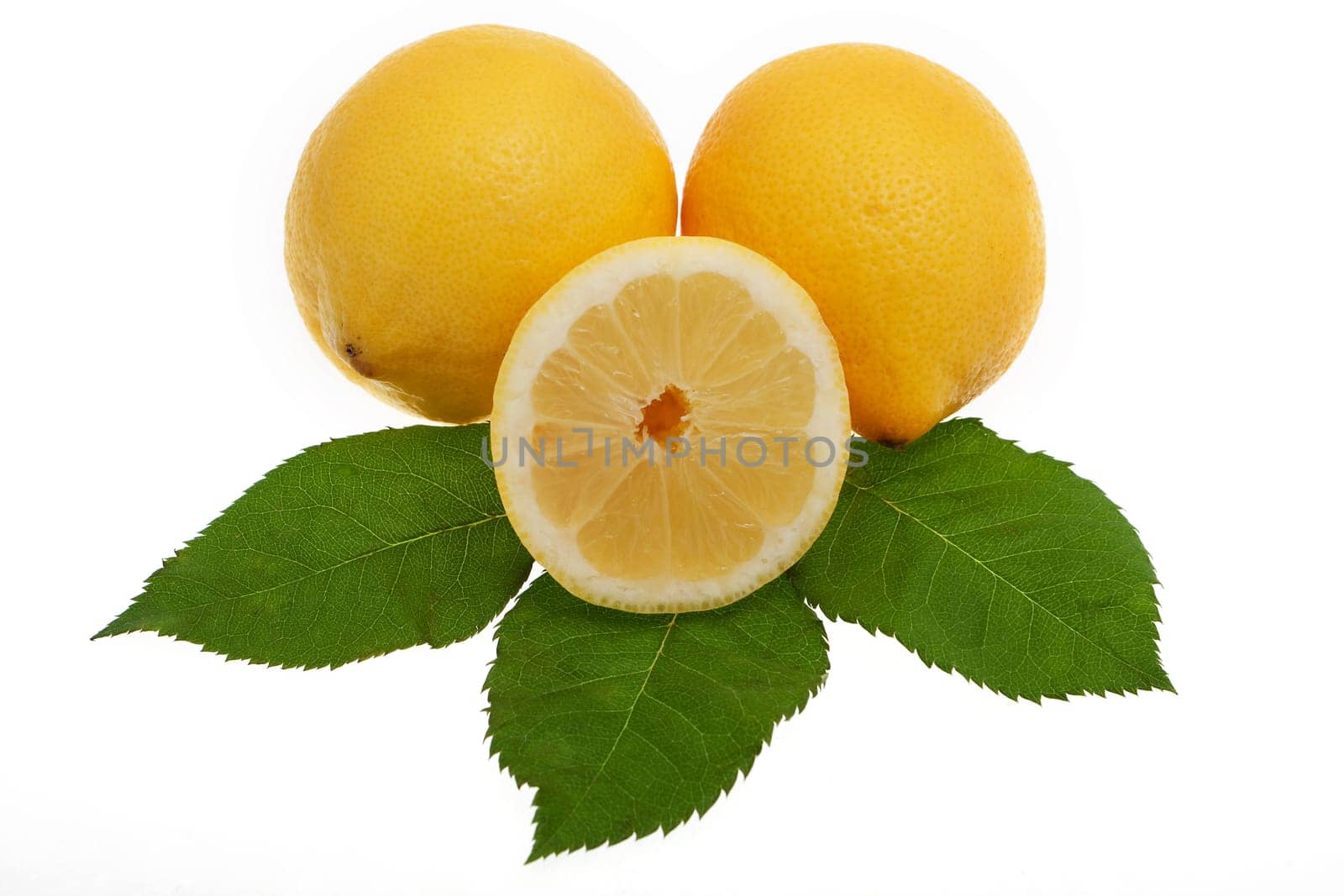 Lemon