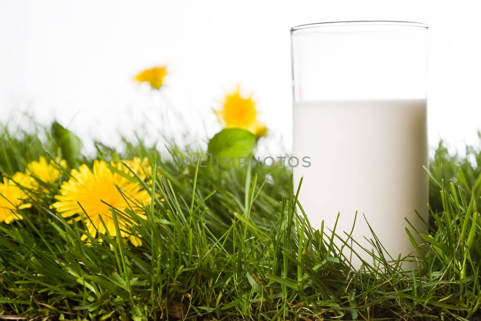 glass of milk