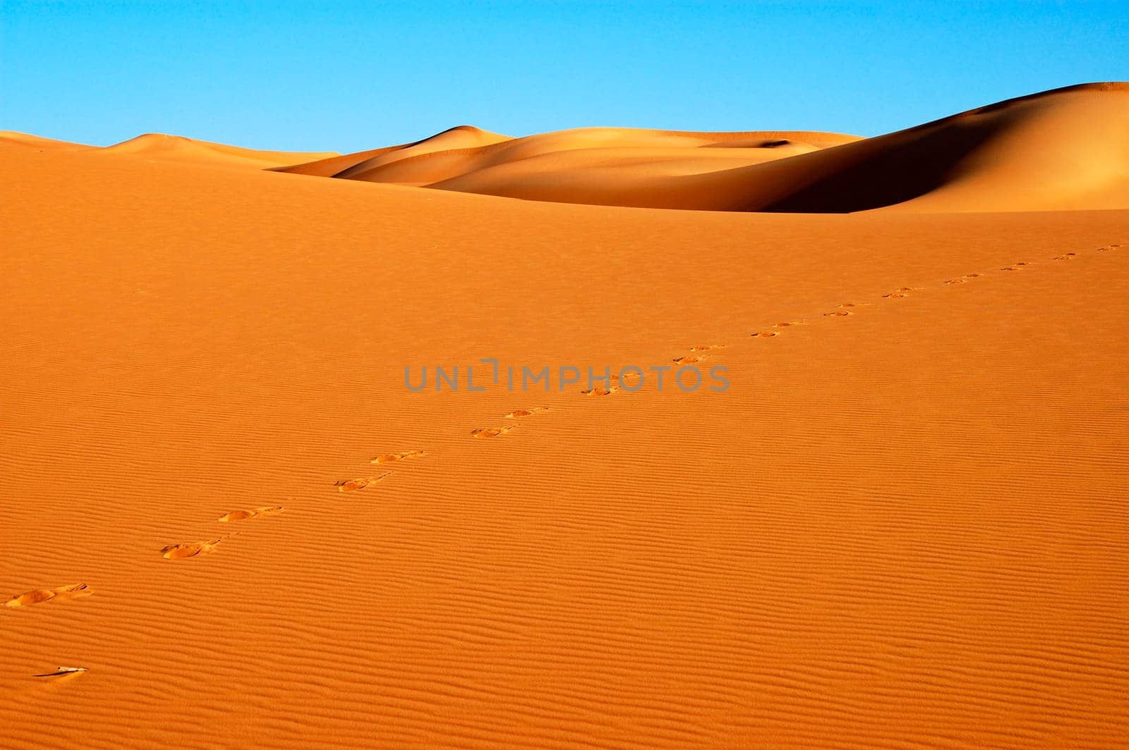 Footprints in the desert sand