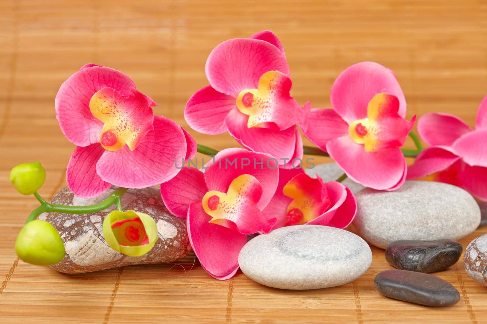 Stones and flowers