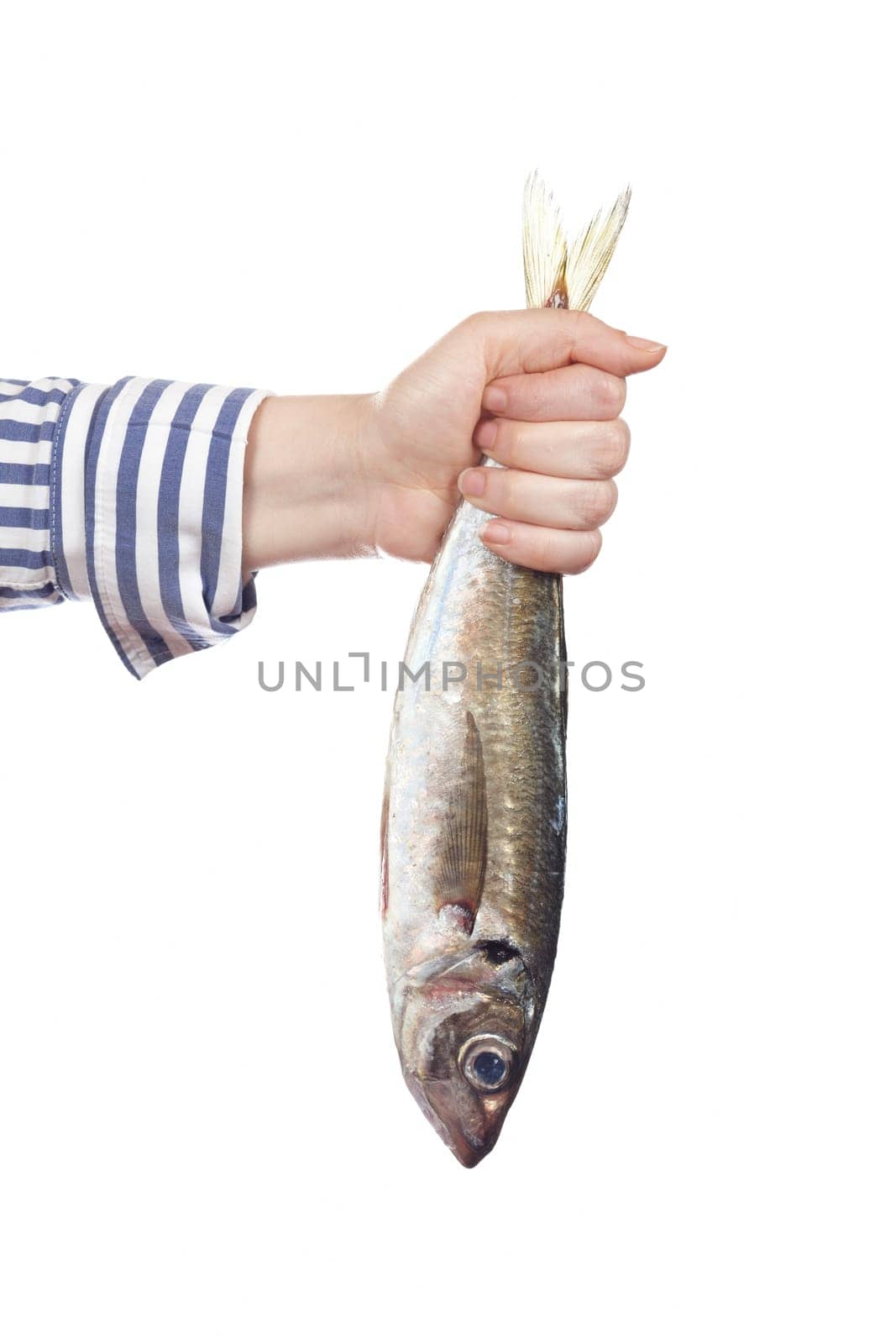 Holding a fresh fish