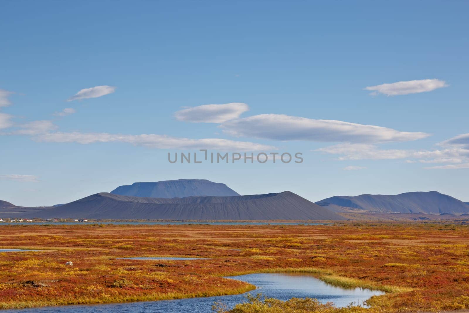 Pseudocraters in Skutustadir near Lake Myvatn, Iceland