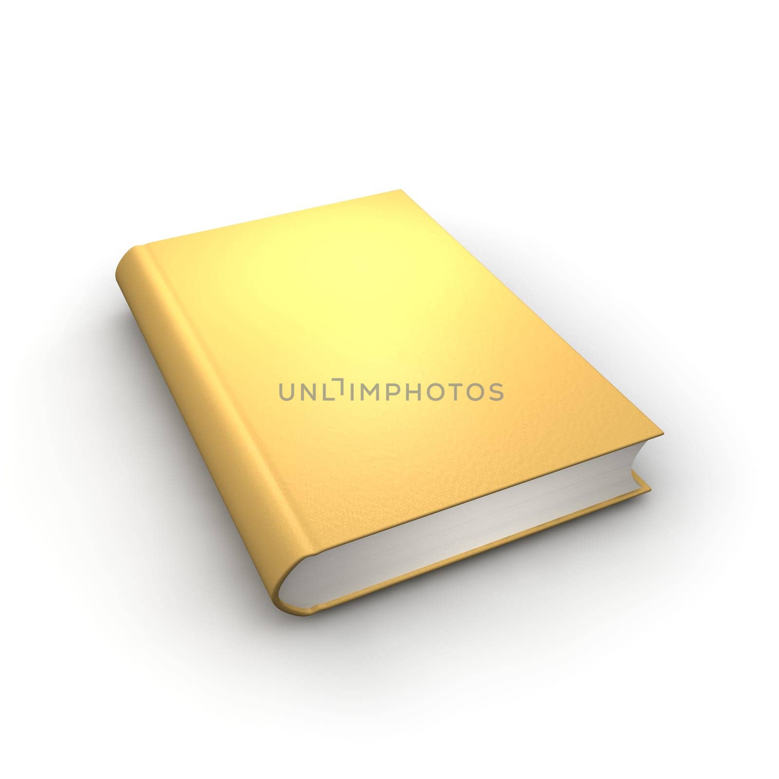 Orange or golden isolated book