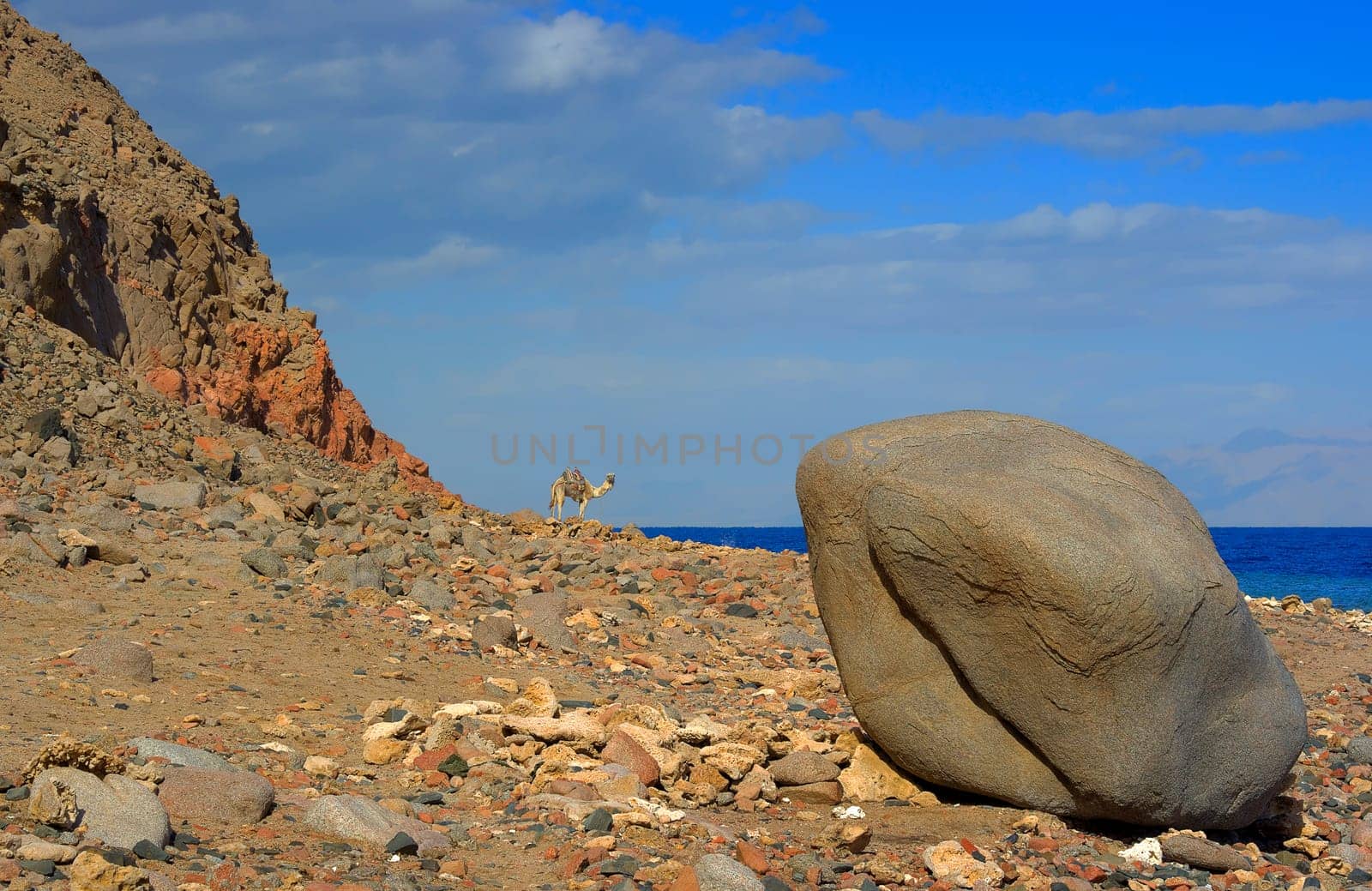 The Camel and the stone