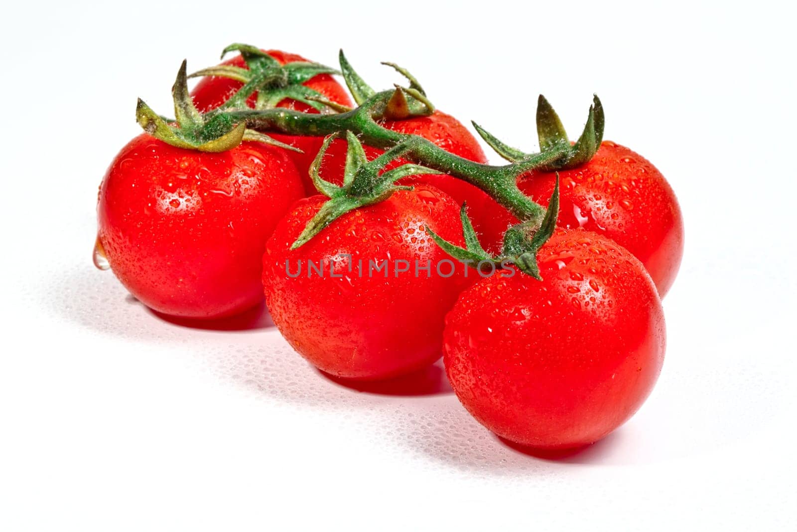 lonely tomato