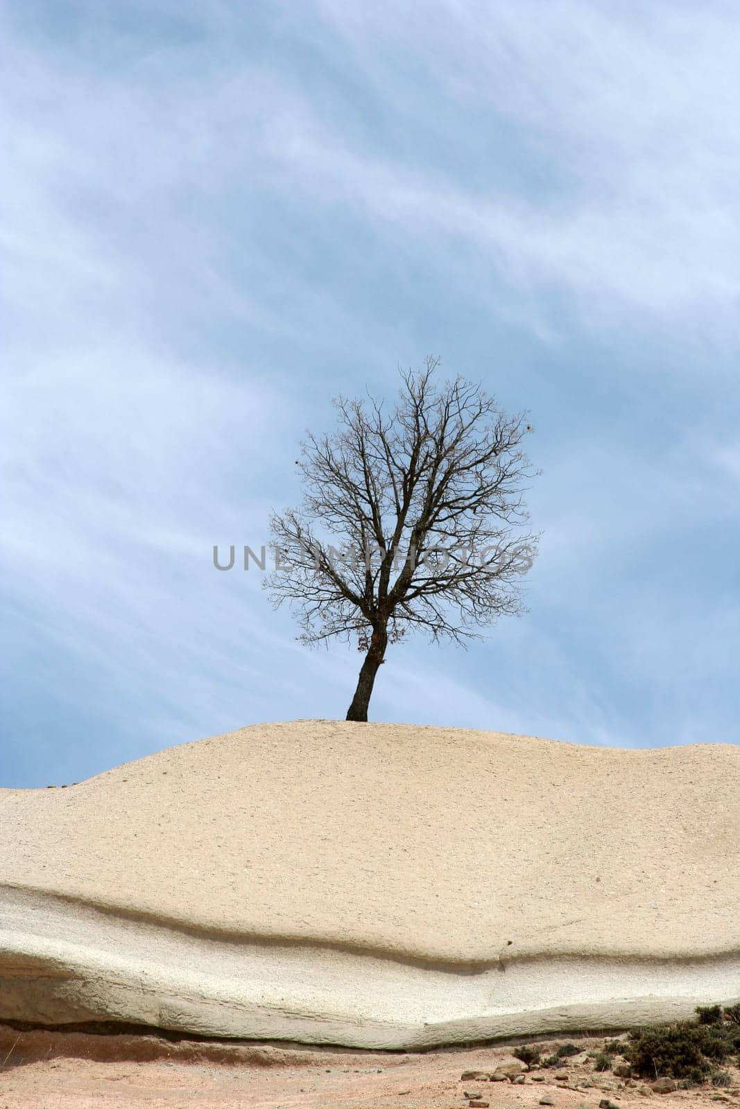 global warming