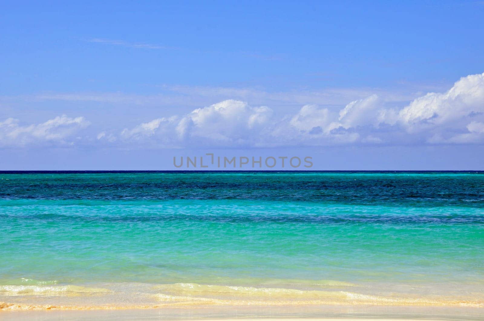 Playa