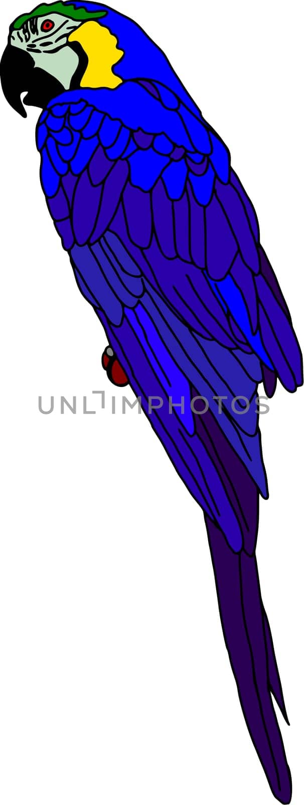 ara