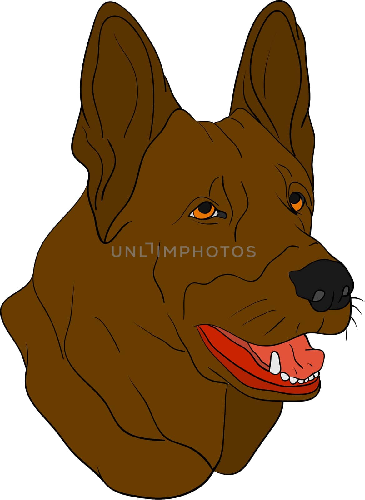 dog head