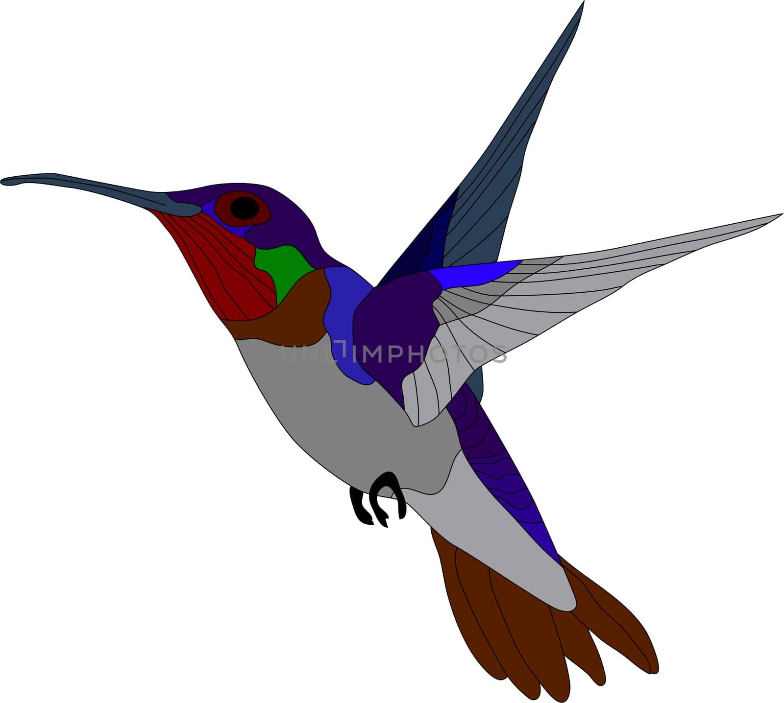 hummingbird