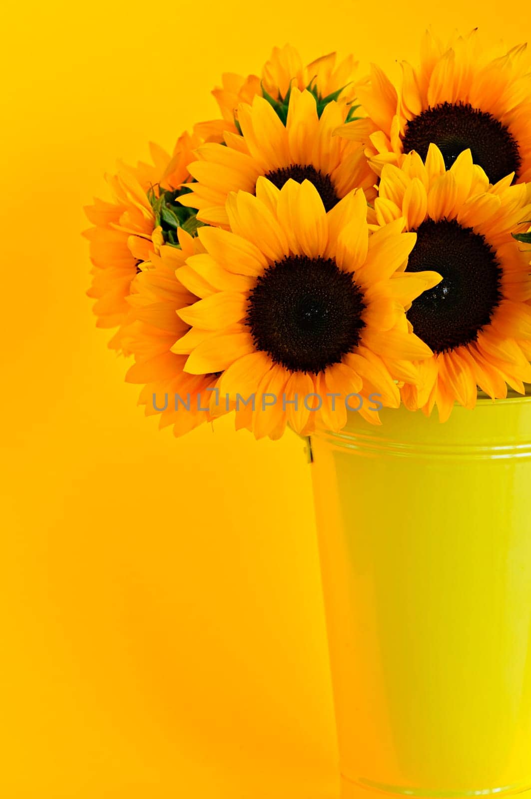 Sunflowers in vase