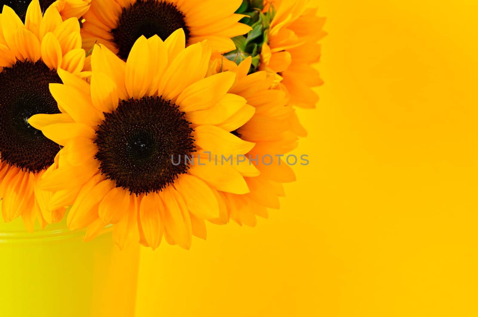 Sunflowers in vase