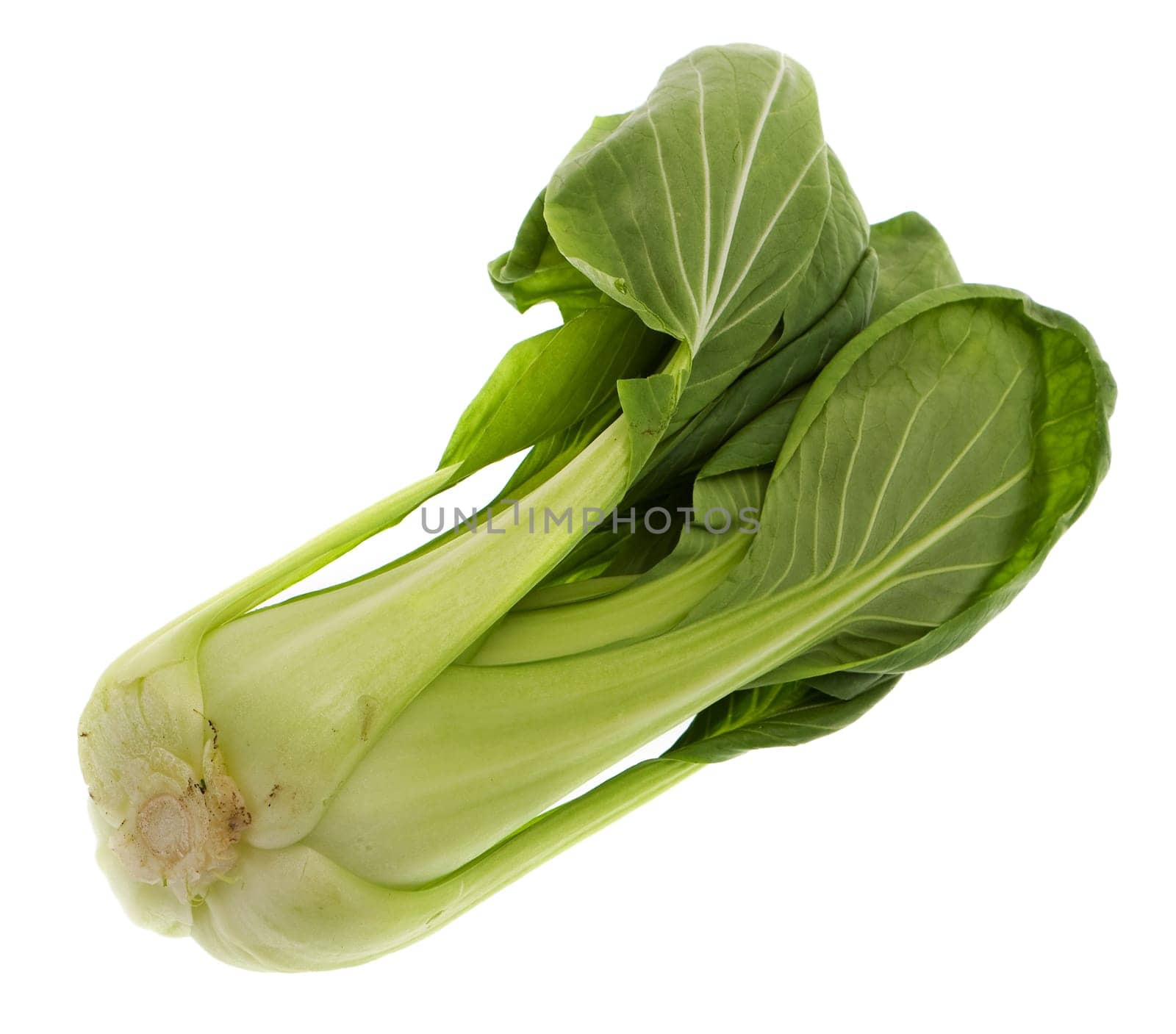 Shanghai Pok Choi