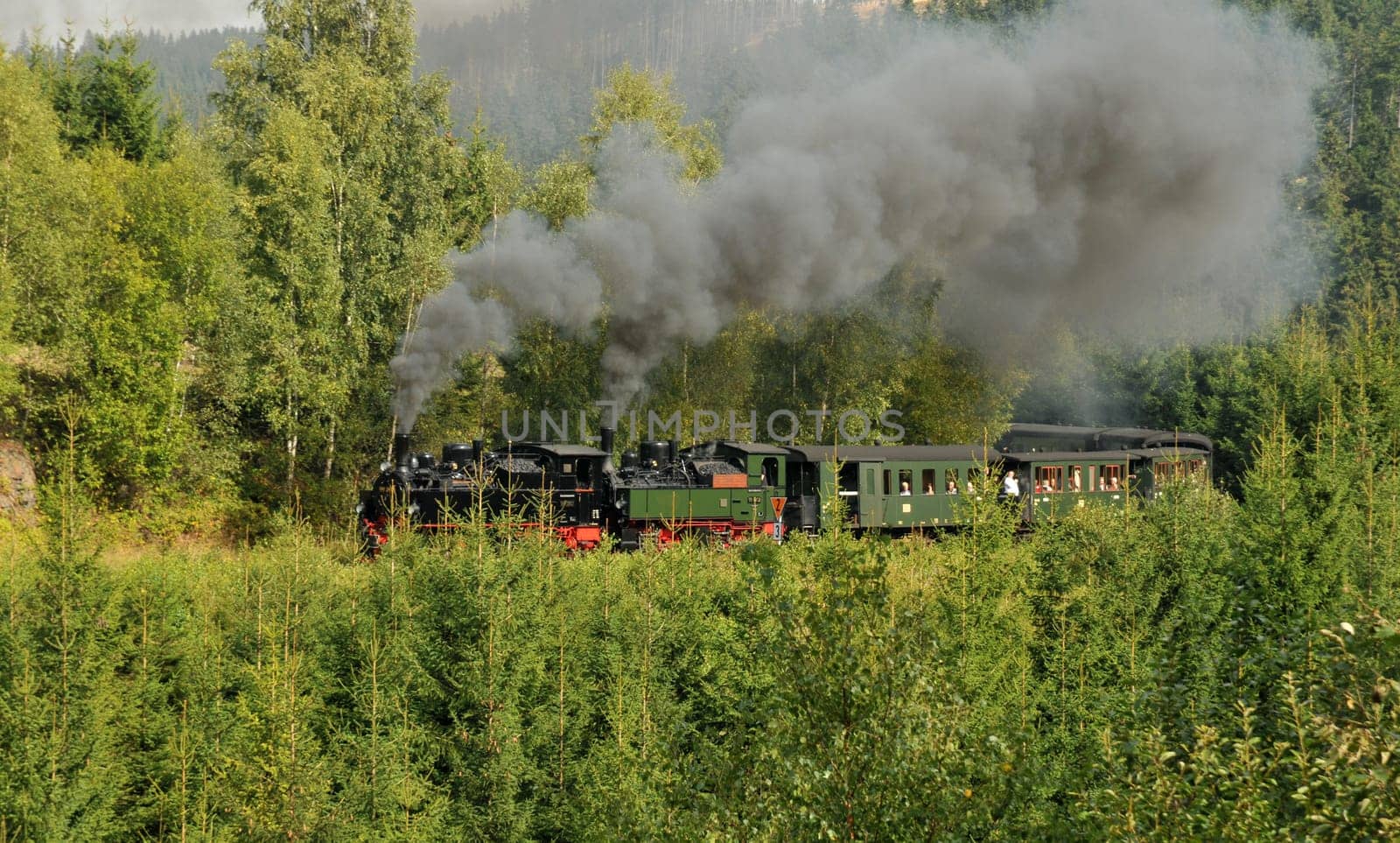 The rare Mallet locomotives on the way to the Brocken / Harz