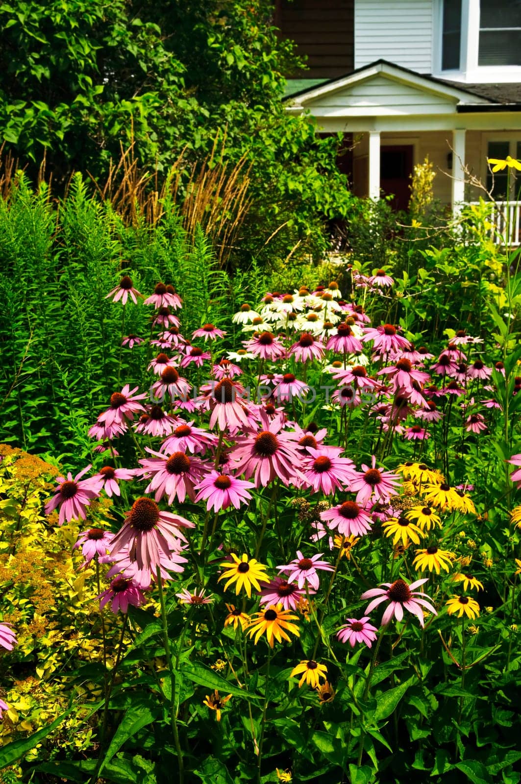 Residential garden landscaping