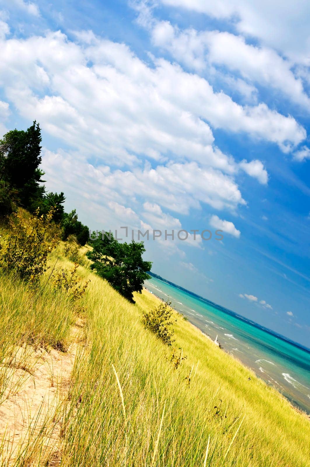 Sand dunes at beach