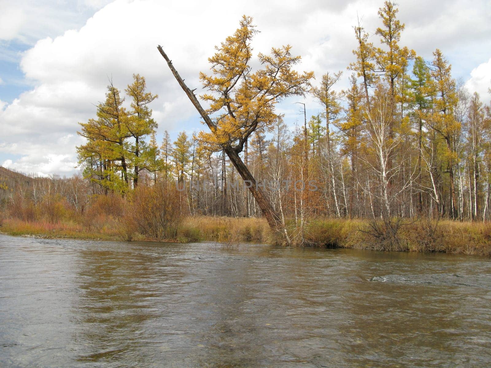 Autumn river
