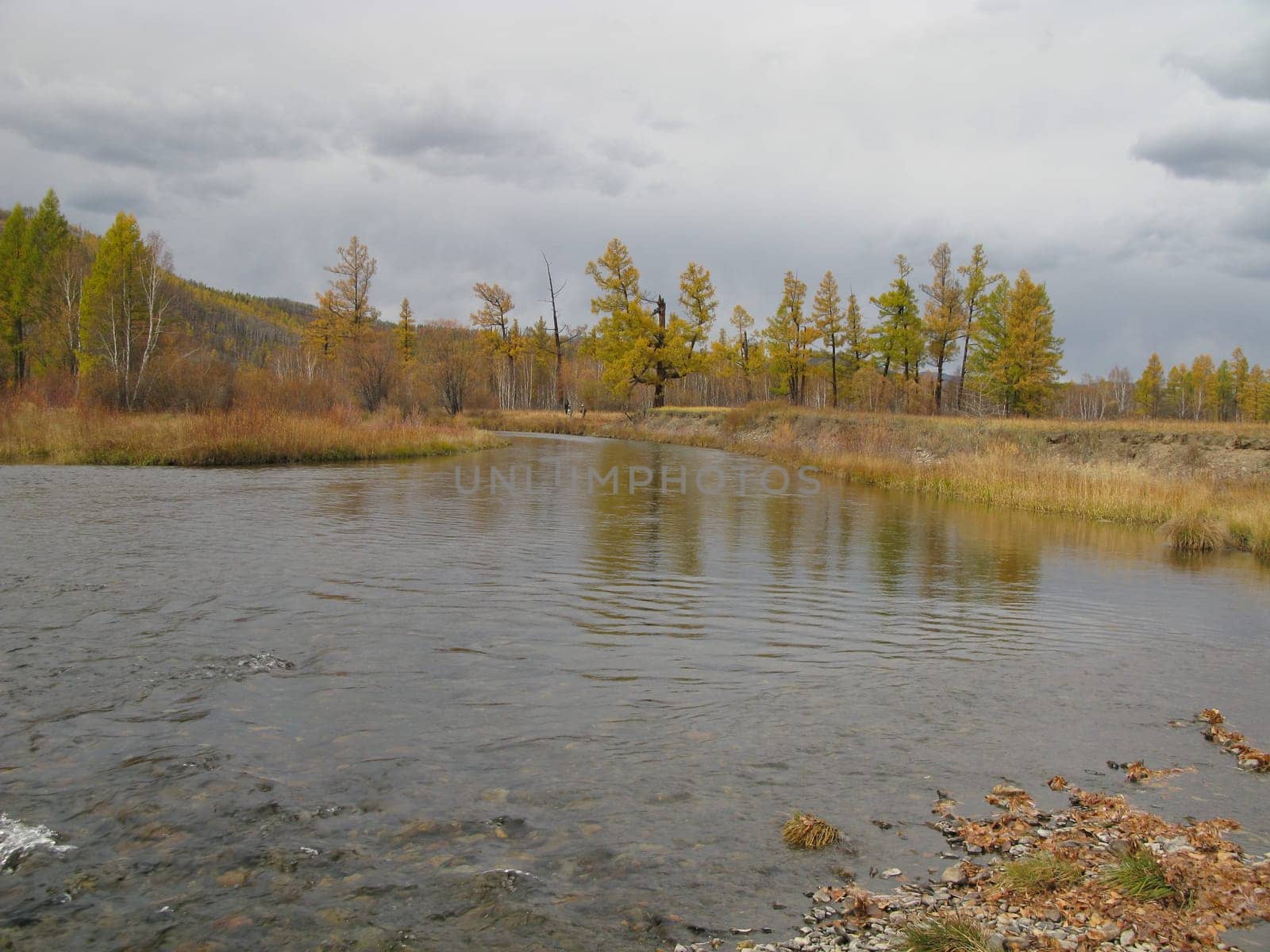 Autumn river