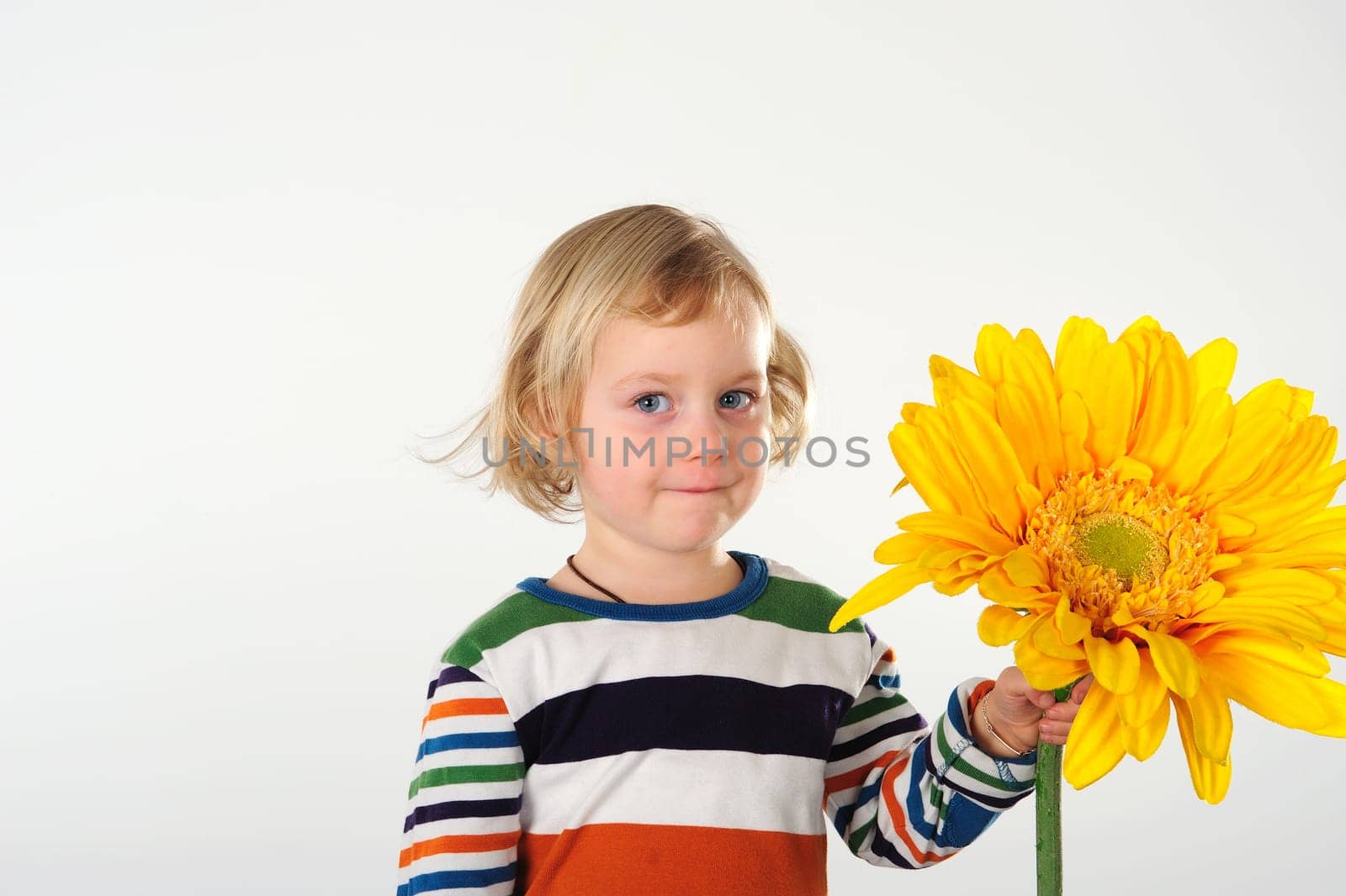 little girl with sunflower