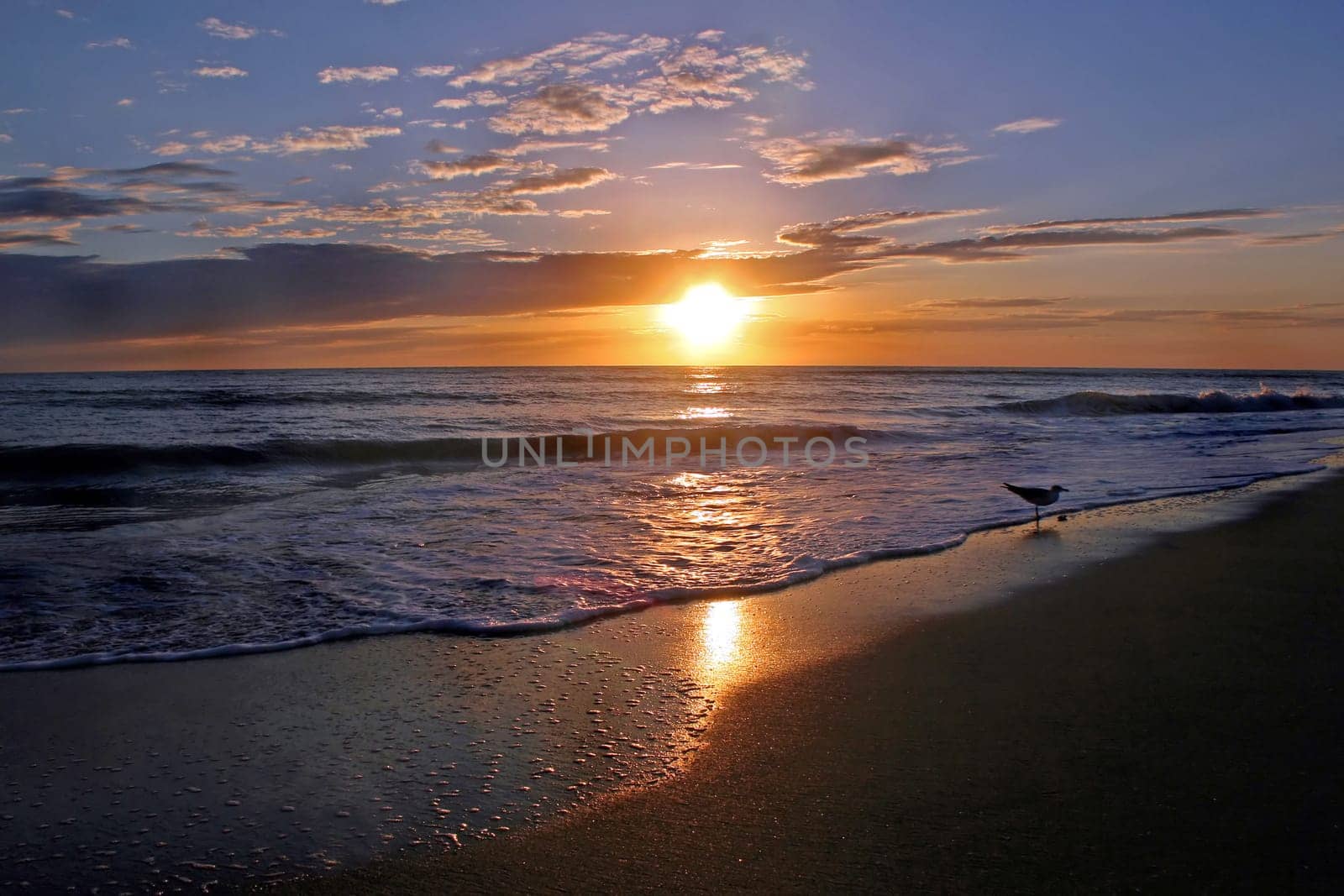 Shining Sunset