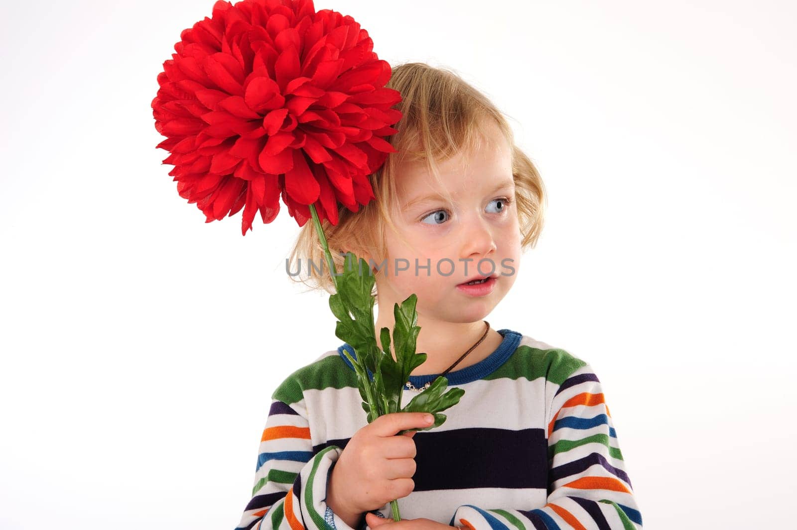 little girl with red flower