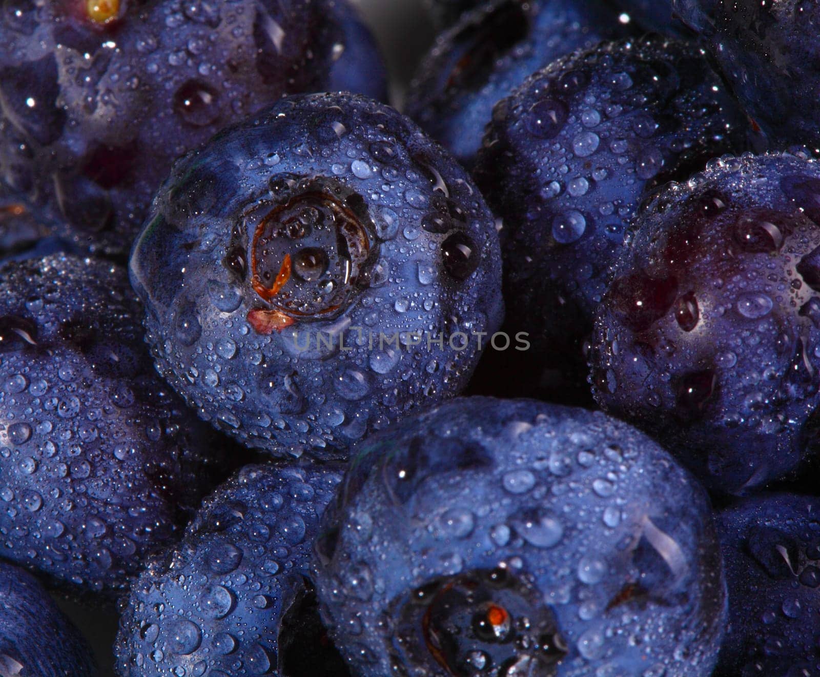 blueberry background