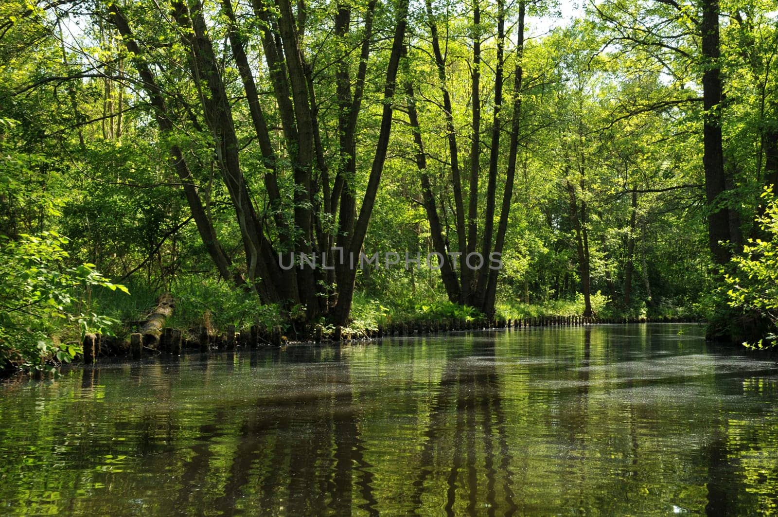 Idyll in the Spreewald