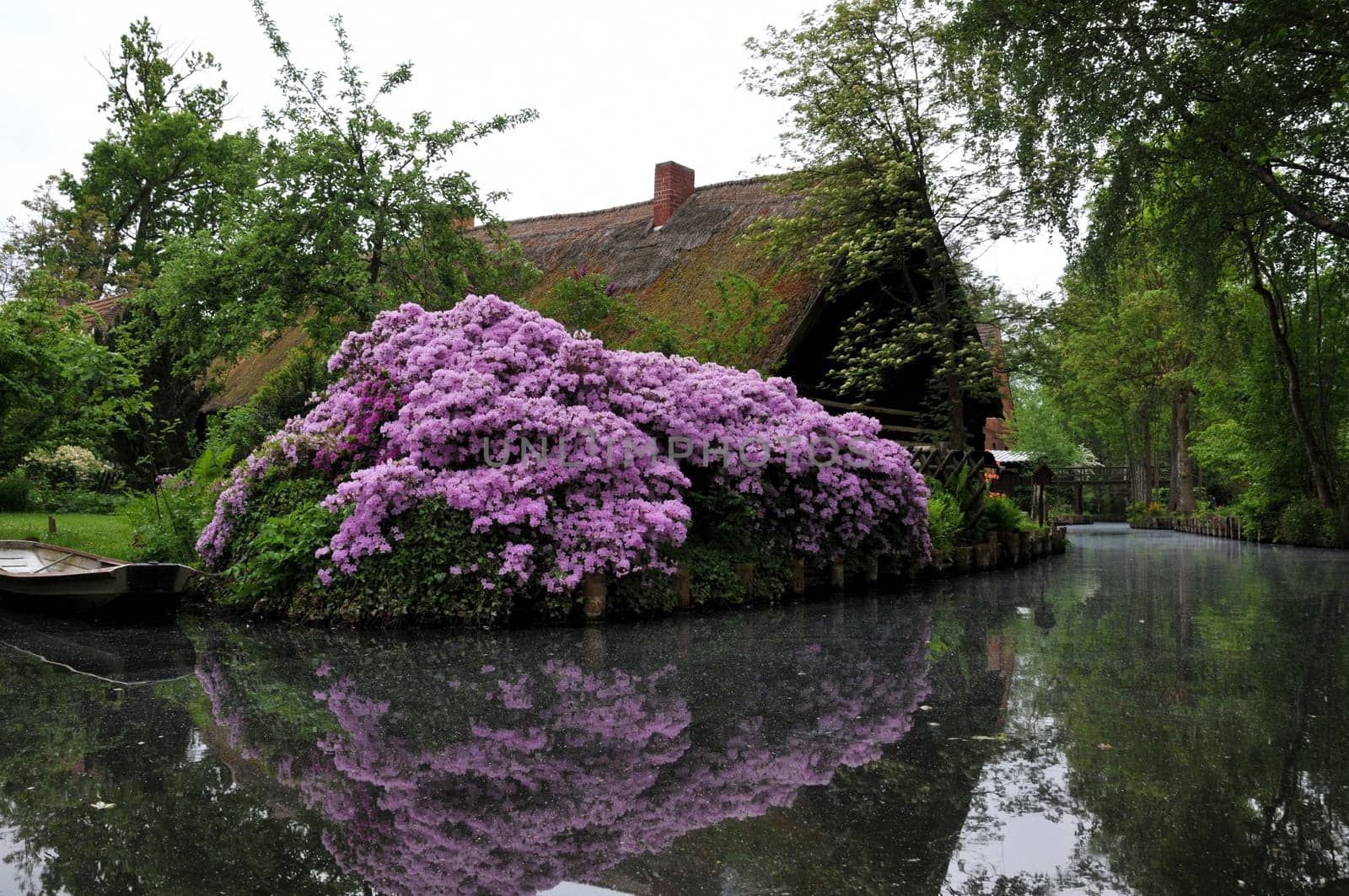 Colours in the Spreewald
