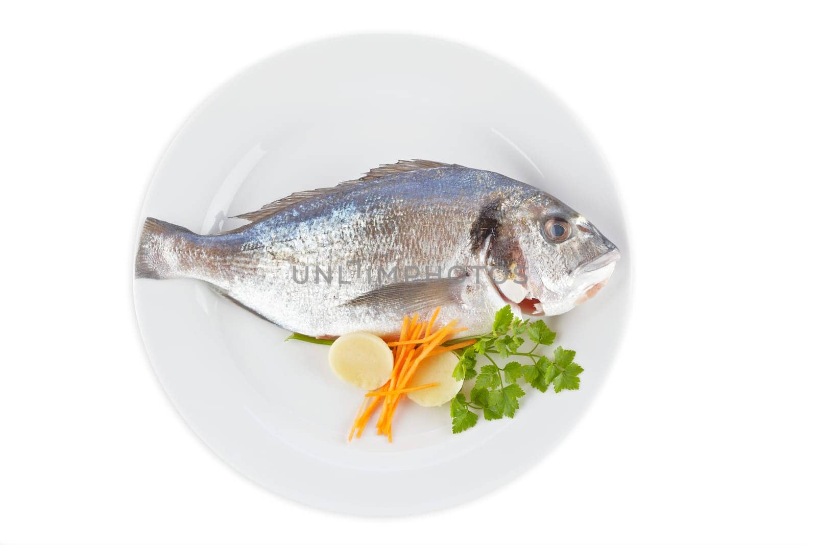 Fresh fish