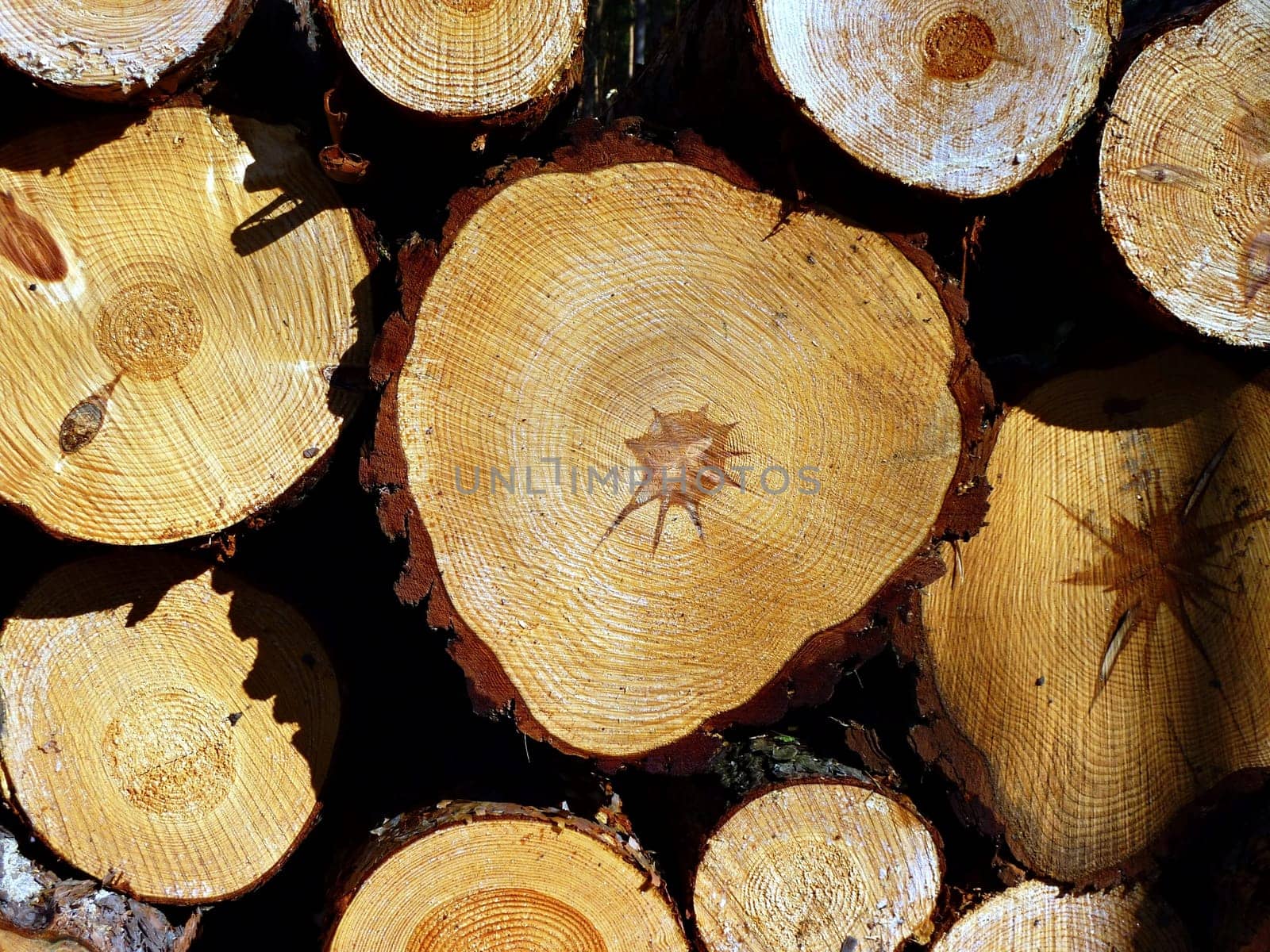 Logs