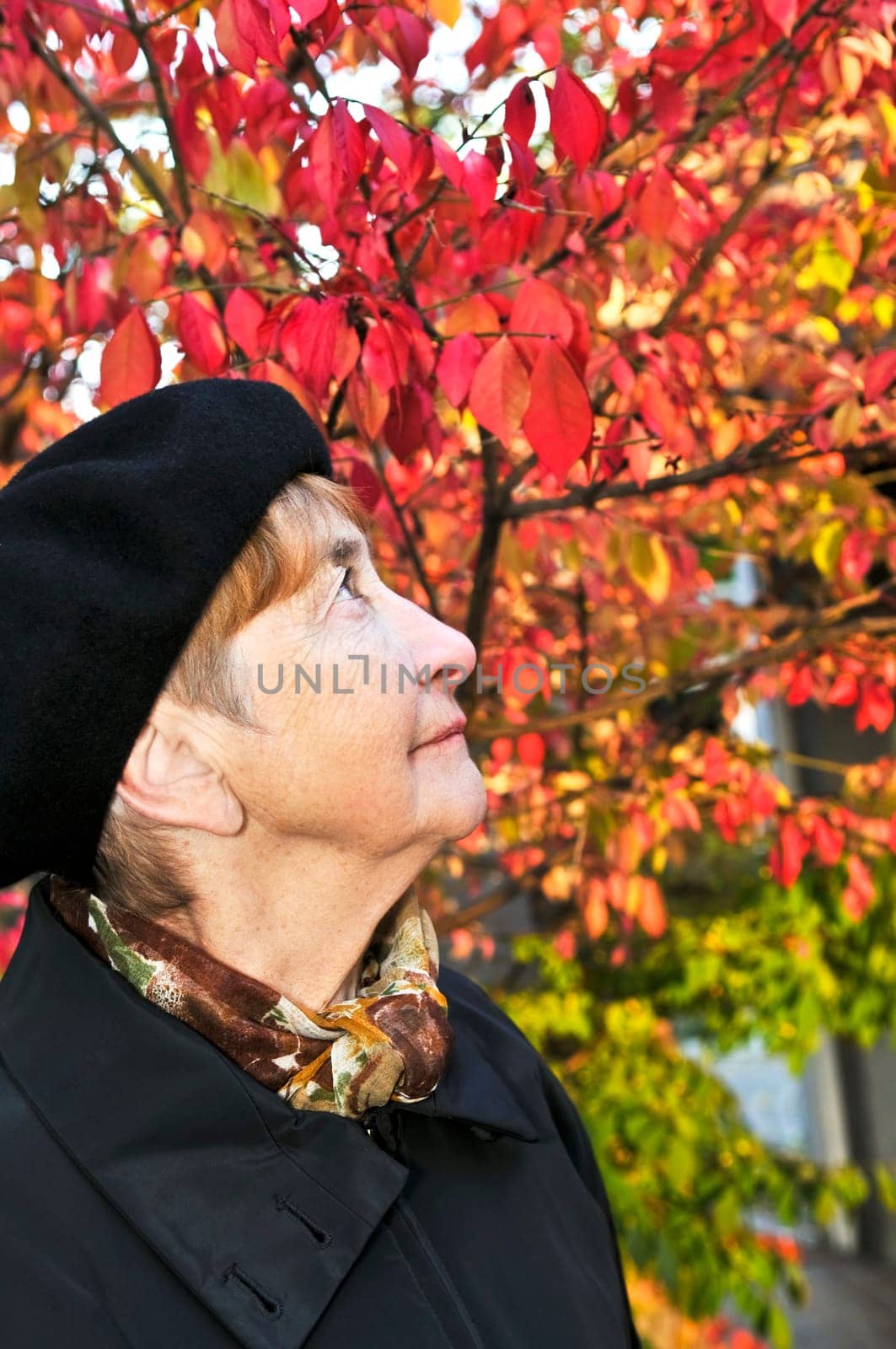 Senior woman in fall park