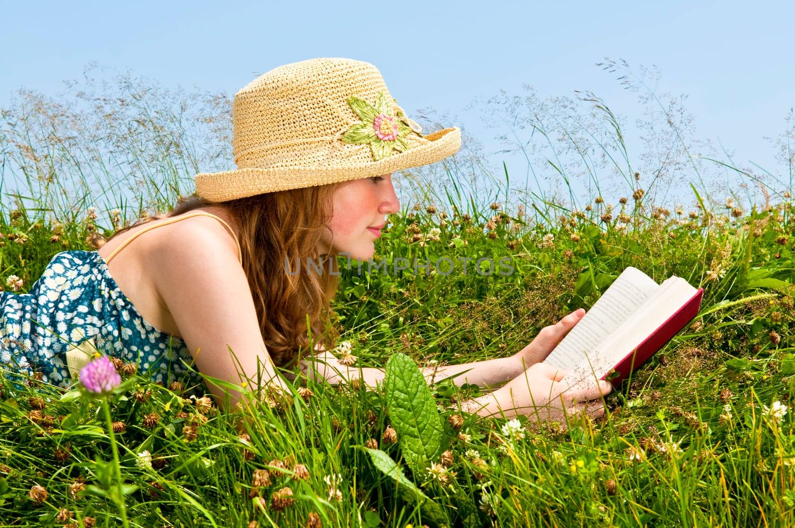 Young girl reading book in meadow