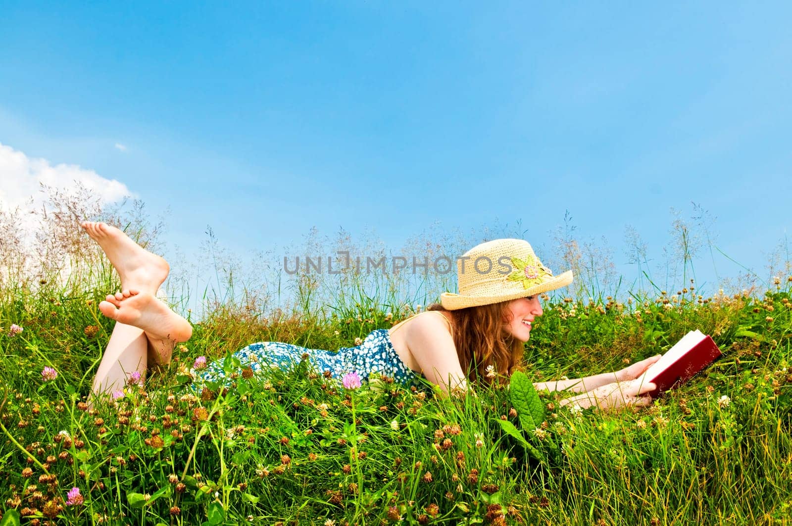 Young girl reading book in meadow