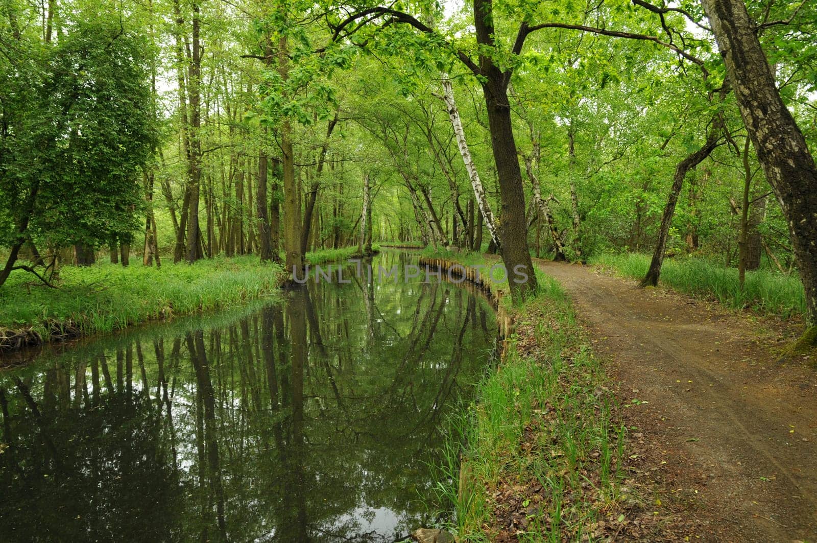 Fliess in the Spreewald