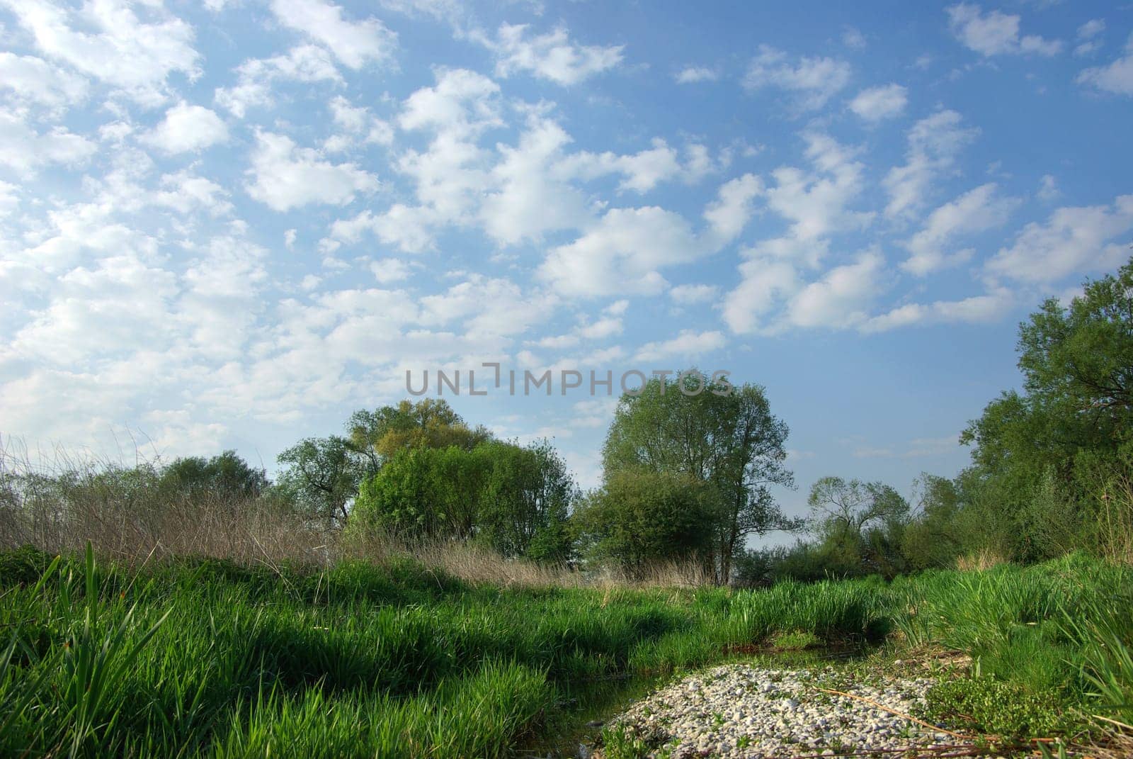 Water protection area Isar floodplains