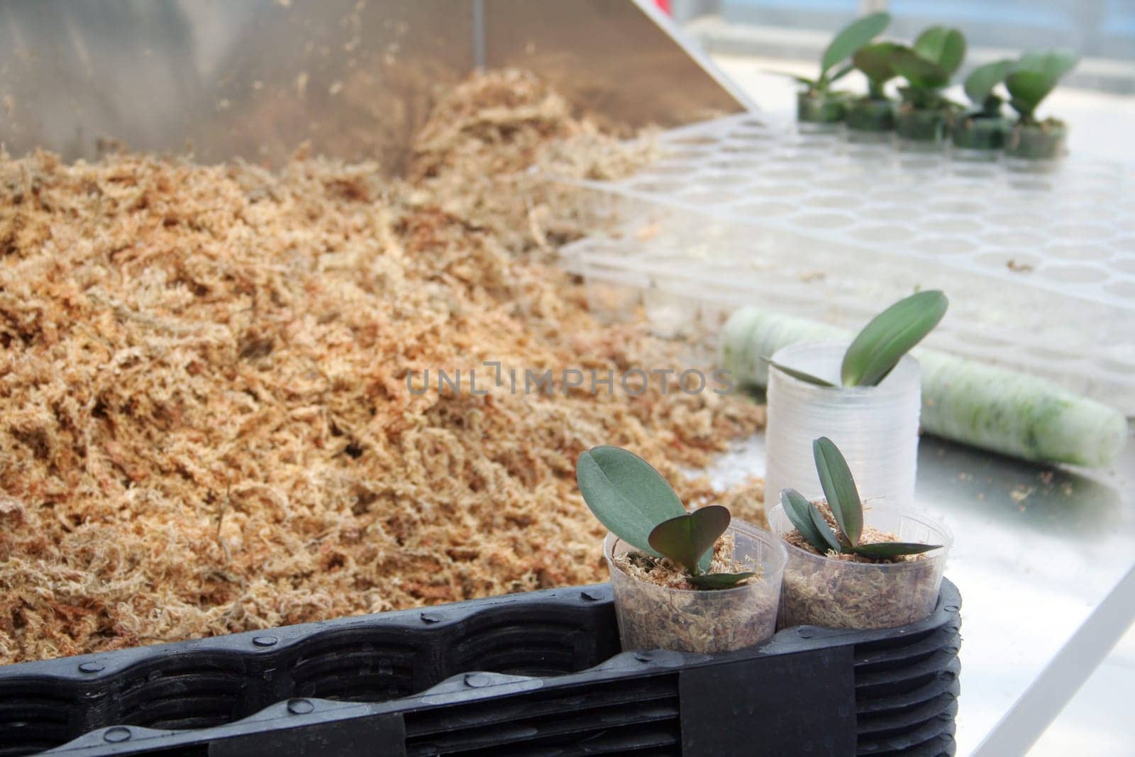 Biotechnology lab