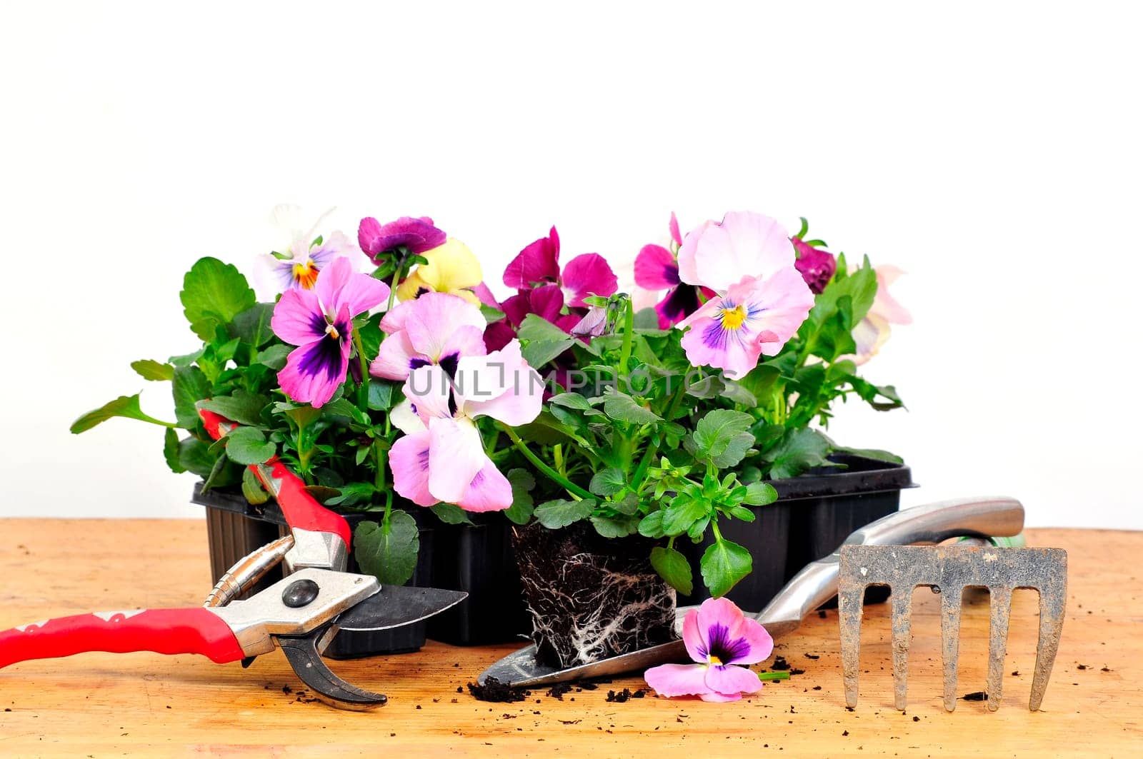 Plants Garden Tool