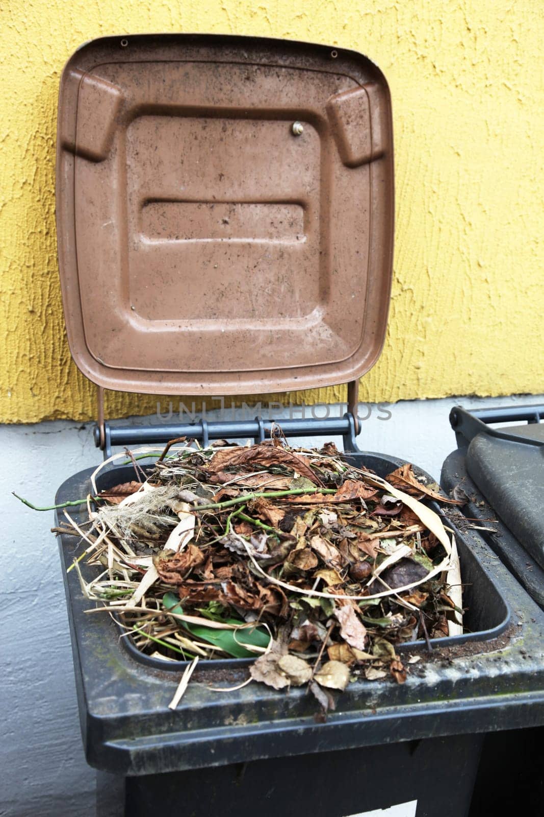 Garbage can with organic waste
