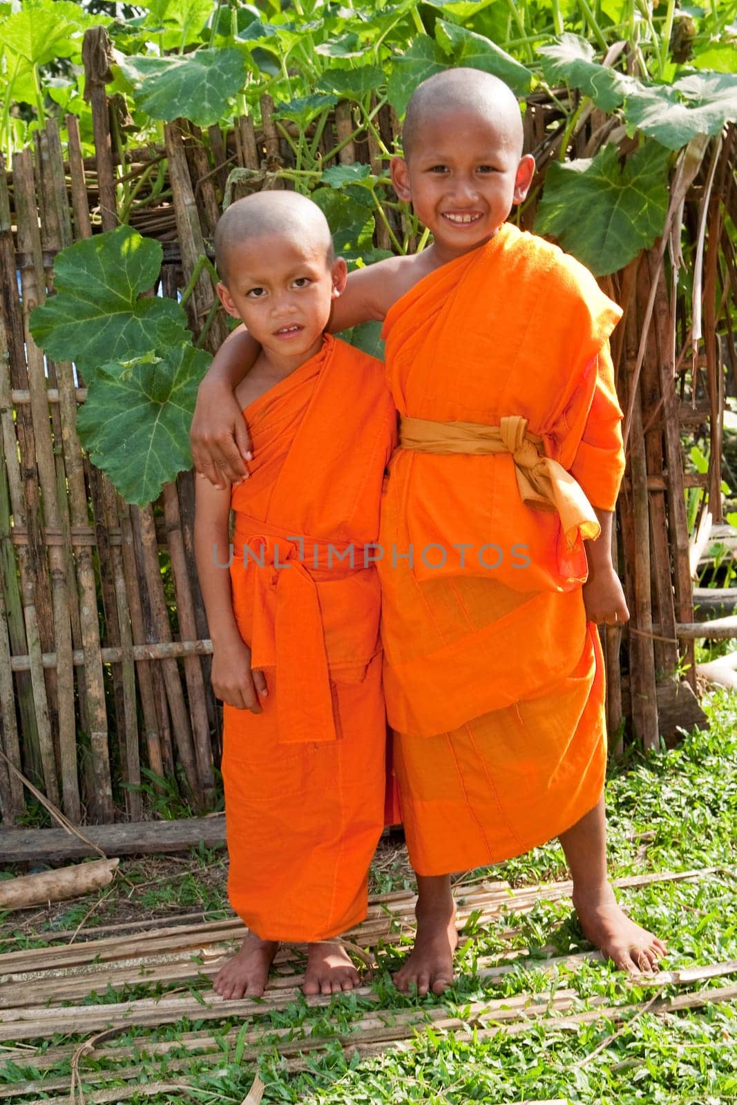 Children as Buddhist novices Laos